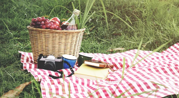 Picnic Basket on Vacation Concept