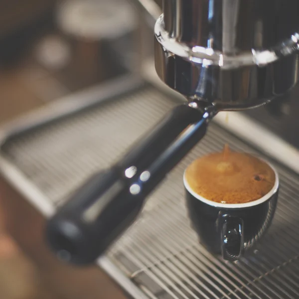 Barista making Coffee Professional Concept