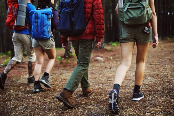 People walking in forest