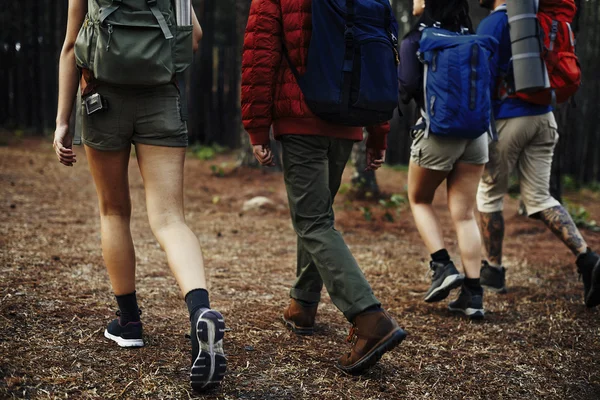 People walking in nature