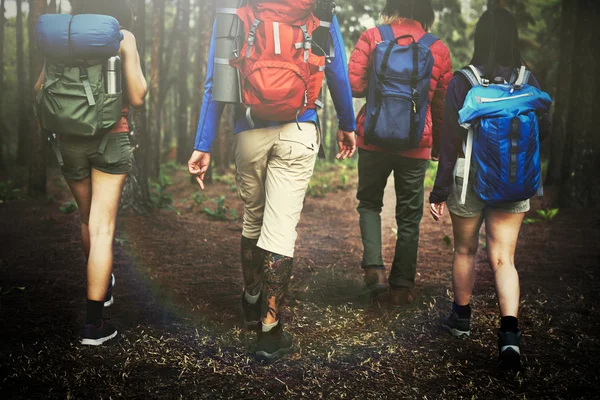People Hiking in nature