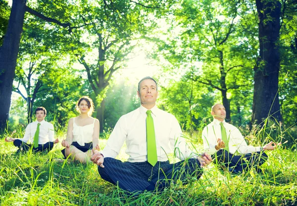 Business people doing yoga in forest