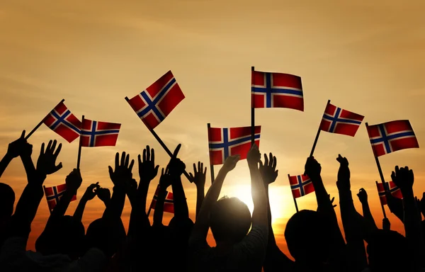 People Waving Norwegian Flags