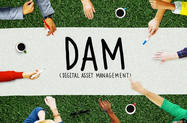 Digital Asset Management Organization Concept