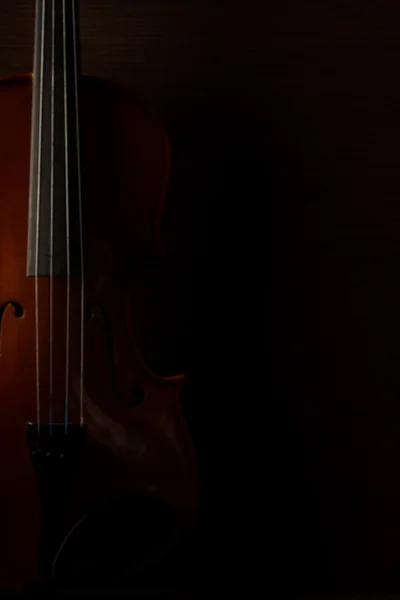 Old Violin Concept