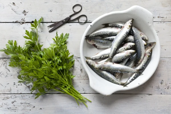 Fresh raw sardines on enamelled tray withparsley bouquet on rustic background with rust vintage scissor