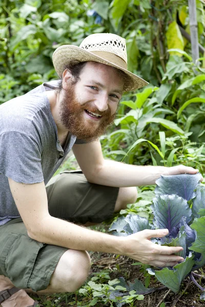 Young bearded smiling boy farmer who grows cabbage on vegetable garden with straw hat