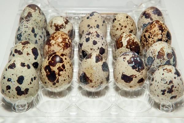 Egg, quail eggs