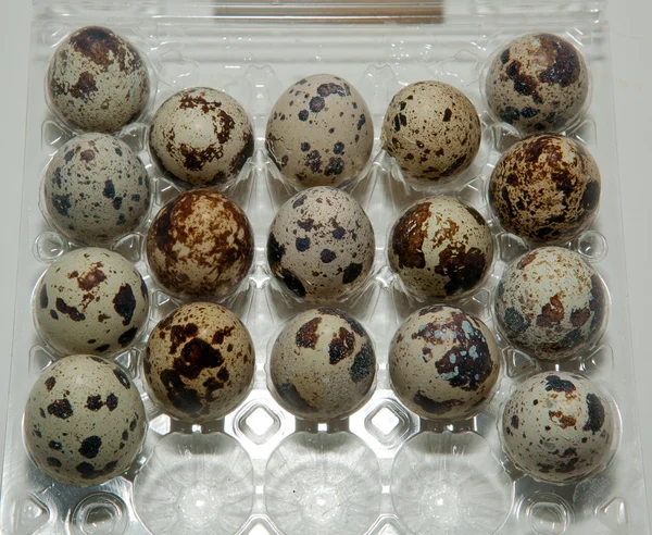 Egg, quail eggs
