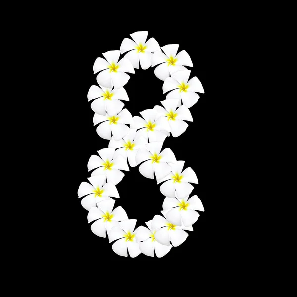 Plumeria flower arabic number on black background