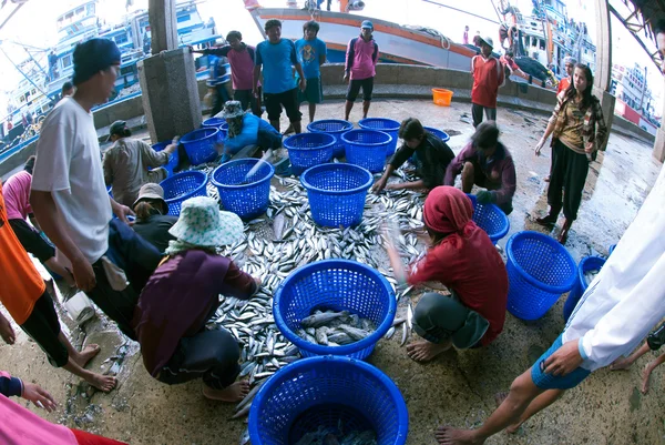 Talaythai seafood market, Trading center of fish and seafood produce.