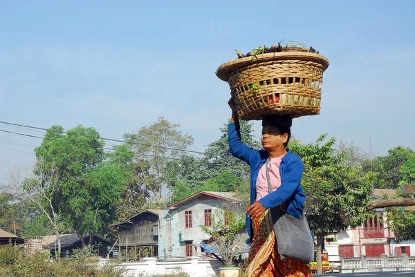 Myanmar woman  carrying  basket on her head.