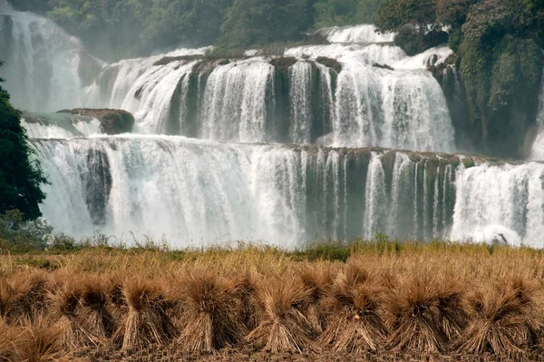 Straw front of Datian waterfall in China.