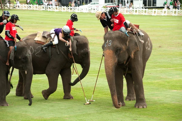 Elephant polo games racing.
