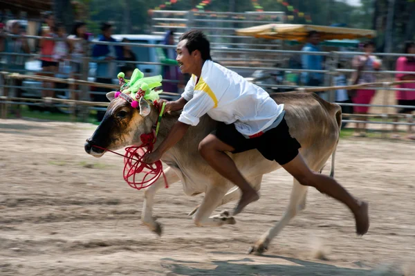 Racing took the bull with his bare handsart in Thailand.