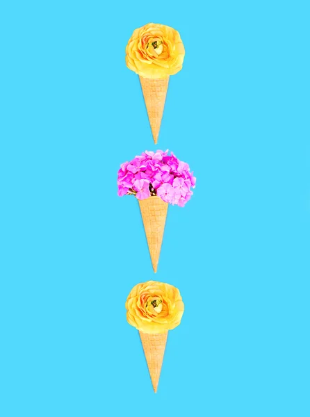 Three ice cream cone flowers over blue colorful background top v