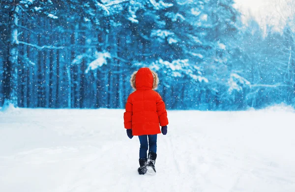 Silhouette of child walking in winter forest, snowy day
