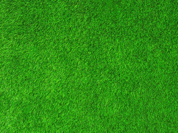 Green texture grass background