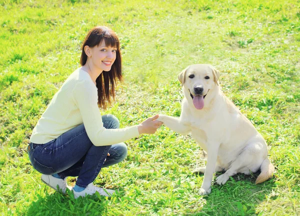 Happy owner woman and labrador retriever dog trains on the grass
