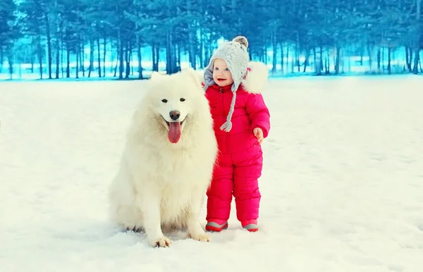 Child with white Samoyed dog on snow walking in winter day