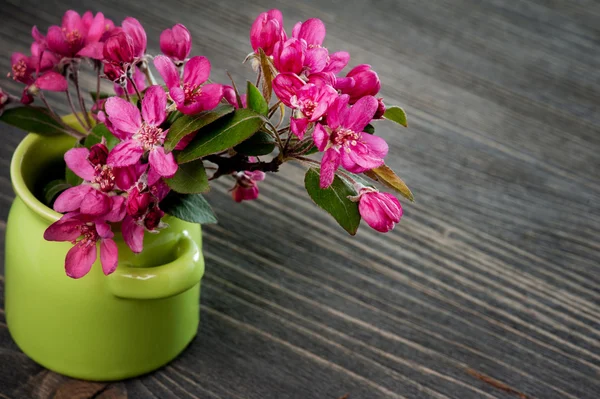 Cherry blossom in a pot on a wooden background