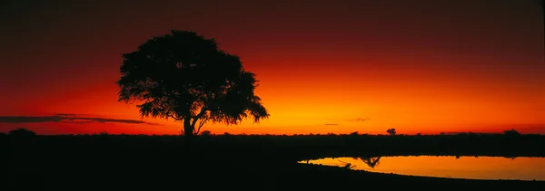Sunset view in Tanzania