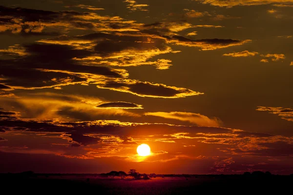 Golden light of African sunset