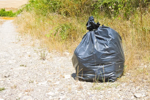Illegal dumping in the nature; garbage bags left in the nature