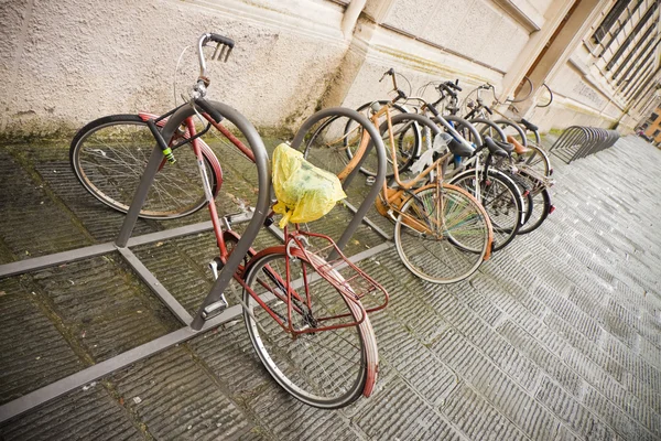Bikes Parked in the Street