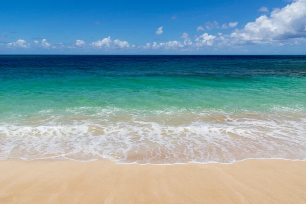 Tropical beach with clear water and no people