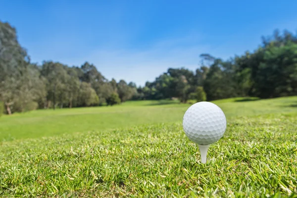 Golf ball on a tee