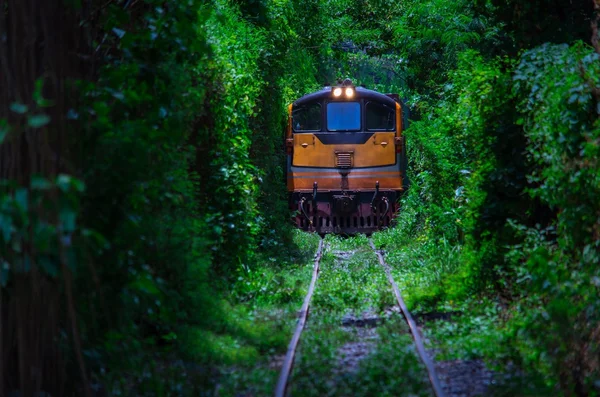 Tunnel of Love ,Thailand,train rides through a tunnel of green plants