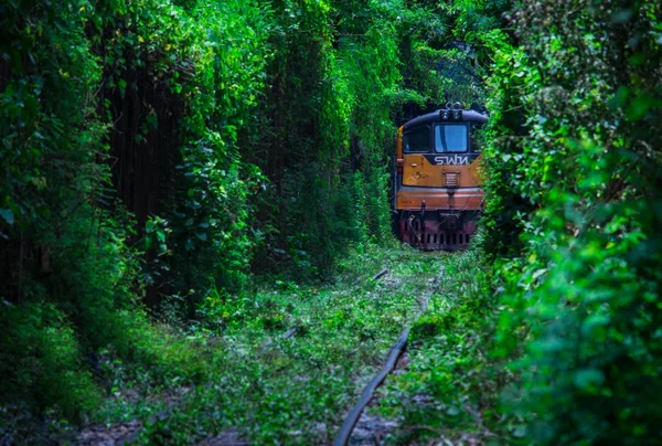 Train through a tunnel of trees, Khlong Toei, Bangkok
