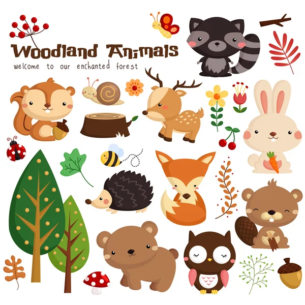 Woodland Vector Set