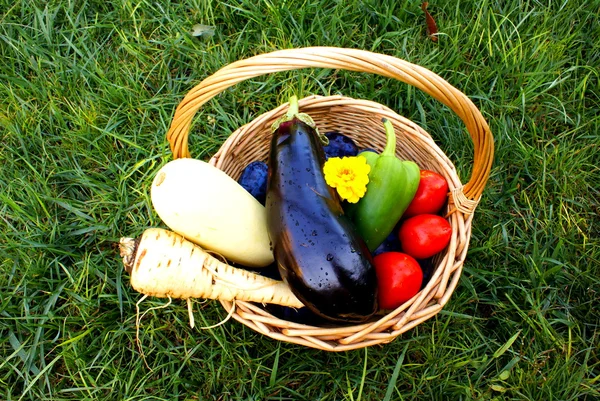 Basket with fresh vegetables and fruits , on grass isolated.