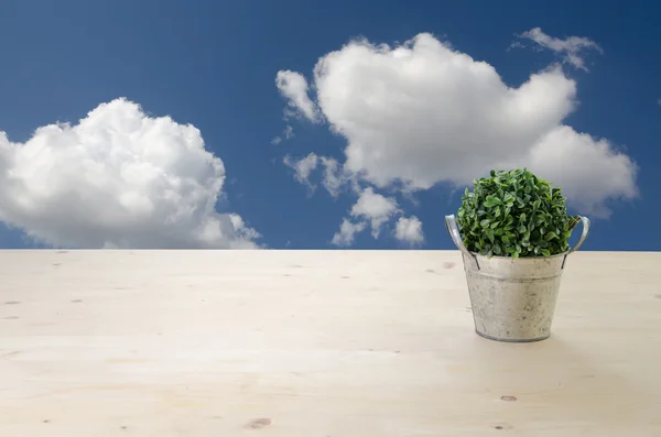 Office Table with Green tree on Basket and Cloudy sky Background