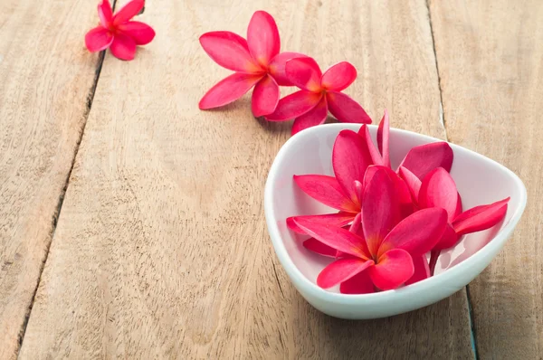 Red Plumeria Flower on the plate and wood floors.