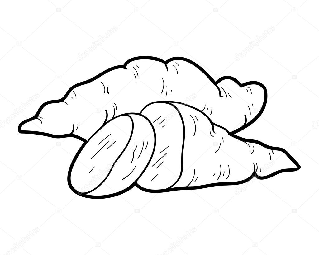 clipart of yam - photo #28