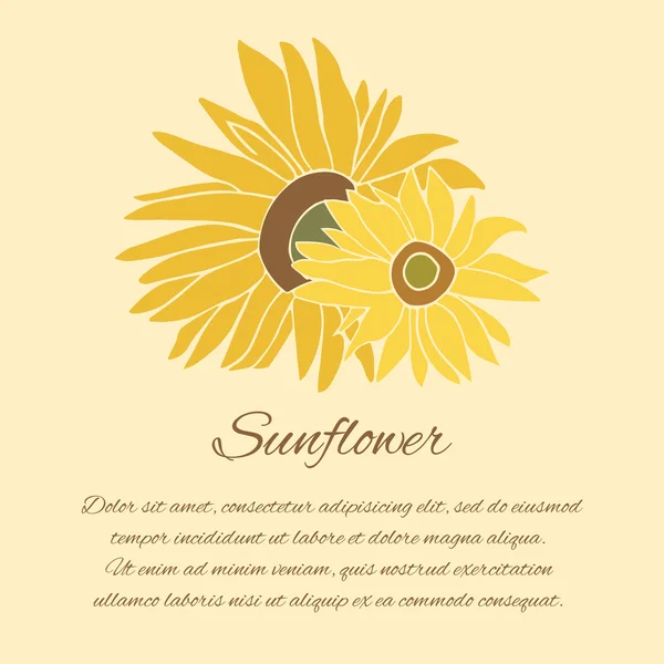 Sunflower vector greeting card on the bright background