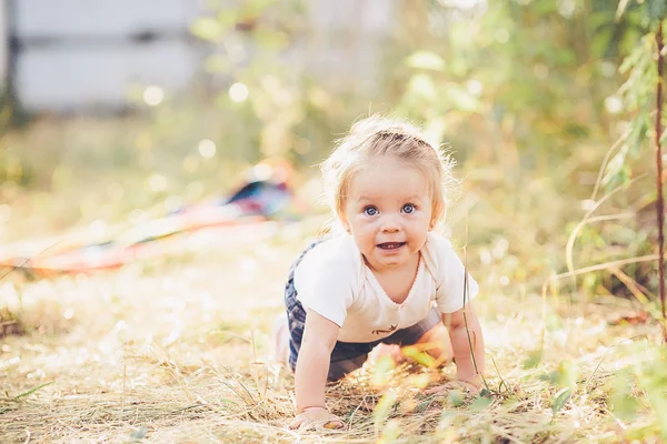 Little girl crawling on the lawn