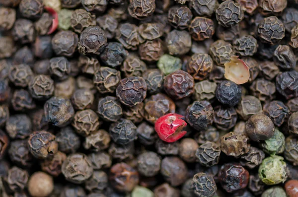 Red Peppercorn in Group of Black Peppercorns