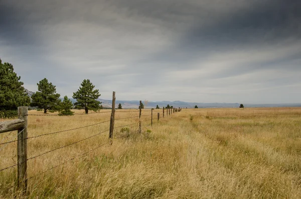 Old Barbed Wire Fence in Dry Field