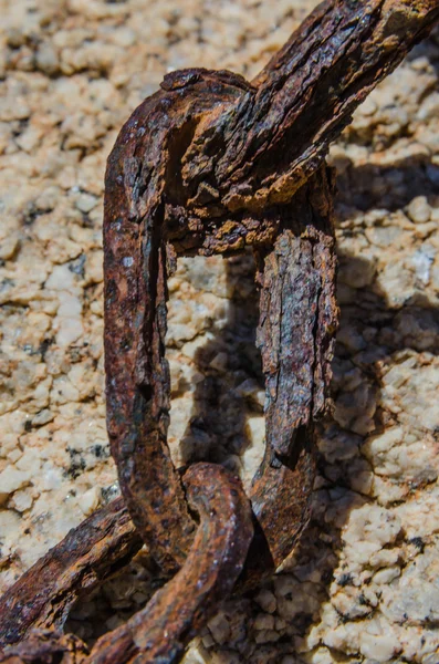 Rusted Link of Chain