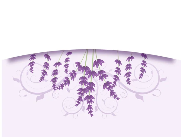 Lavender background