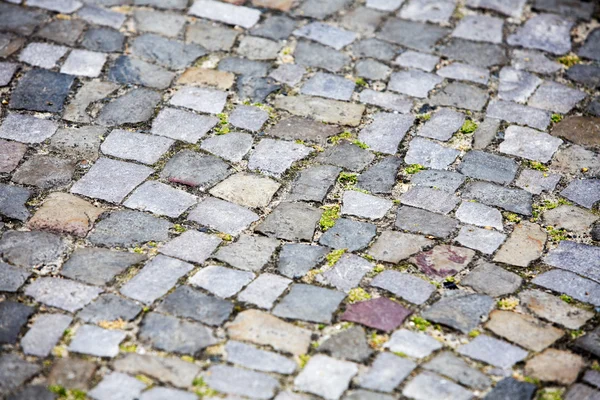 Close up of walkway with gray cobblestones