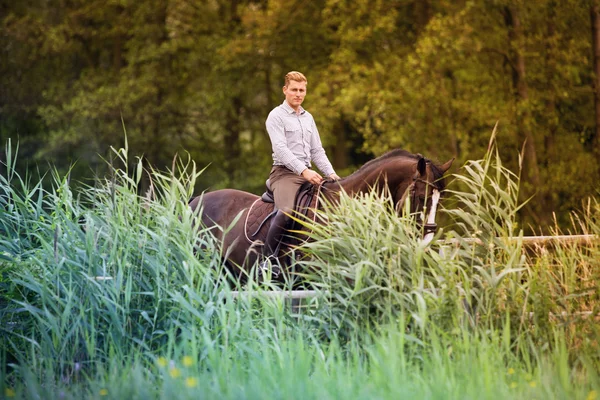 Man riding his horse in nature