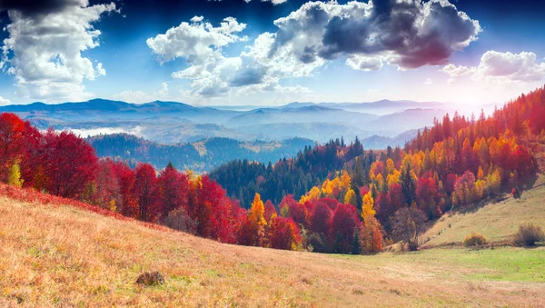 Autumn landscape in the mountain village.