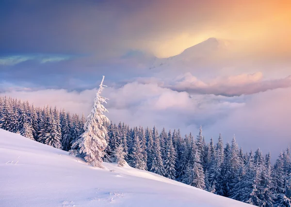 Winter sunrise in the  mountains