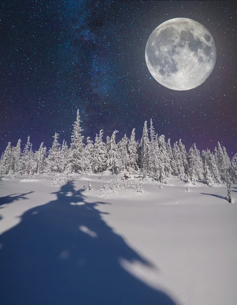 Night sky in the winter mountains