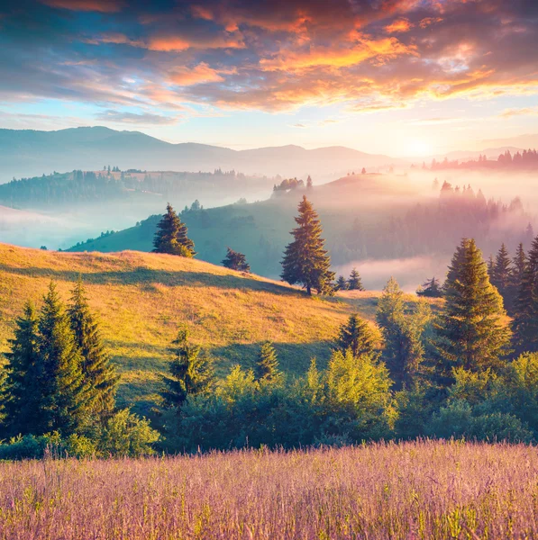 Morning in the Carpathian mountains.